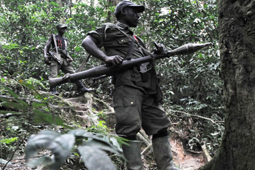 FDLR combattants in eastern DR Congo. (File)