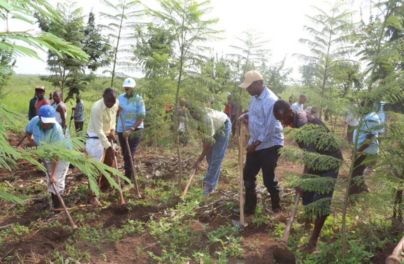 Dr Biruta (2nd right, with cap) joins residents to plant trees in the buffer zone between a neighbourhood and Rweru wetland during the weekend. (Michel Nkurunziza)