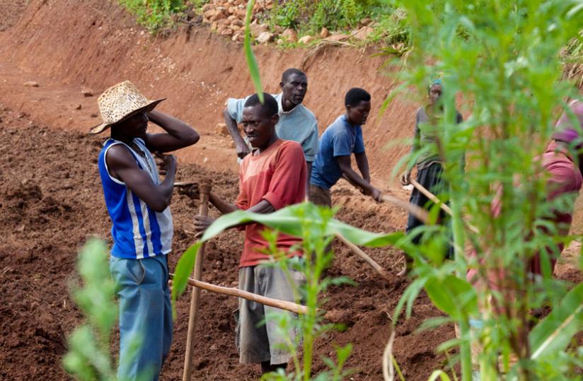 Farmers in Ruryarya Sector in Rwamagana District till their land. (Timothy Kisambira)
