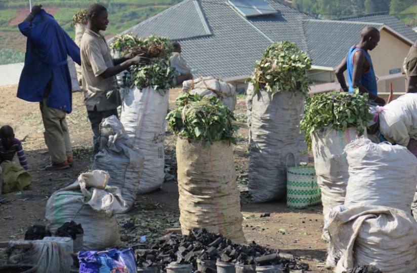 Charcoal on sale in Nyamagabe town. Nyamagabe and  Nyaruguru are among the top charcoal producers in the country.(Jean Pierre Bucyensenge)