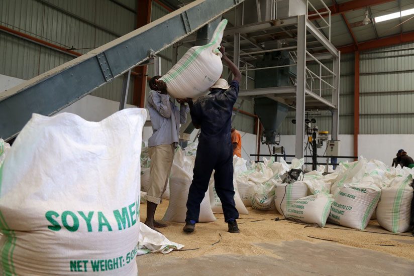 Workers carry bags of animal feeds at Soyco factory last week. (John Mbanda)