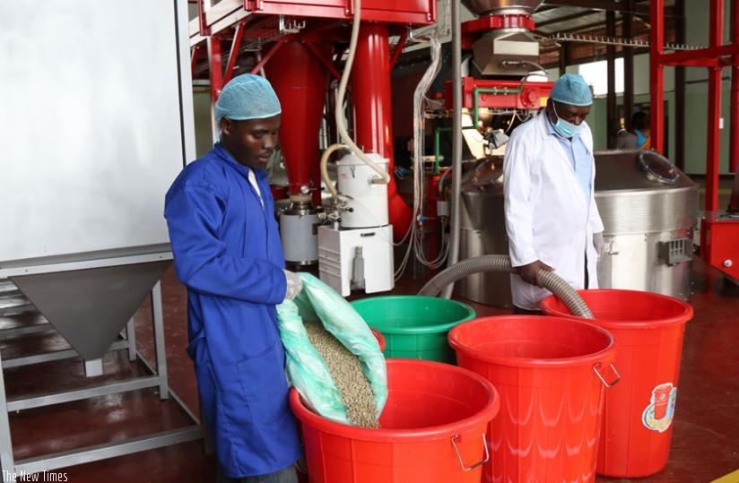 Workers at a newly established coffee processing factory in Kigali. (File)
