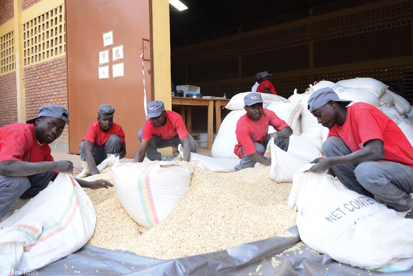 Workers package maize at an EAX warehouse. Grain farmers working with EAX will get soft loans soon. 