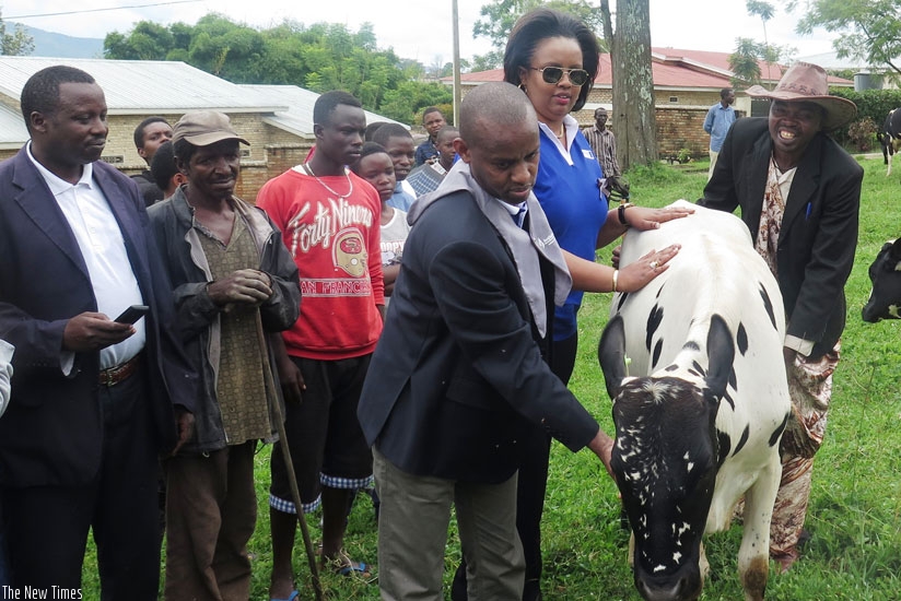Nsenga (middle) hands over one of the cows on Saturday. (Solomon Asaba)