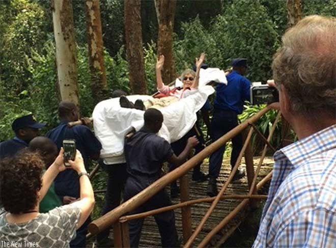 Crane was carried over uneven mountain trails, and stood feet away from the gorillas in Volcanoes National Park in Rwanda. Courtesy. 