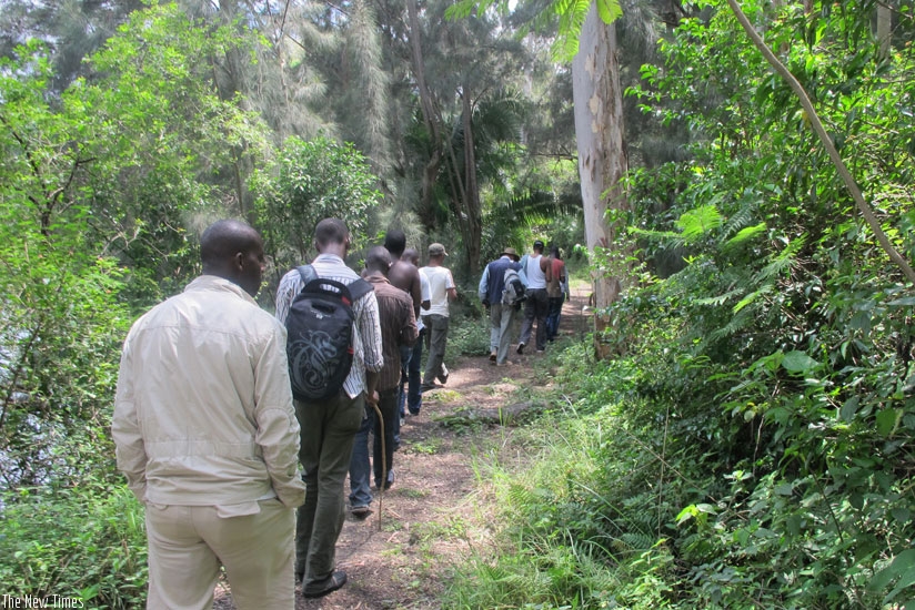 Tourists trek through Nyungwe national park. (File)