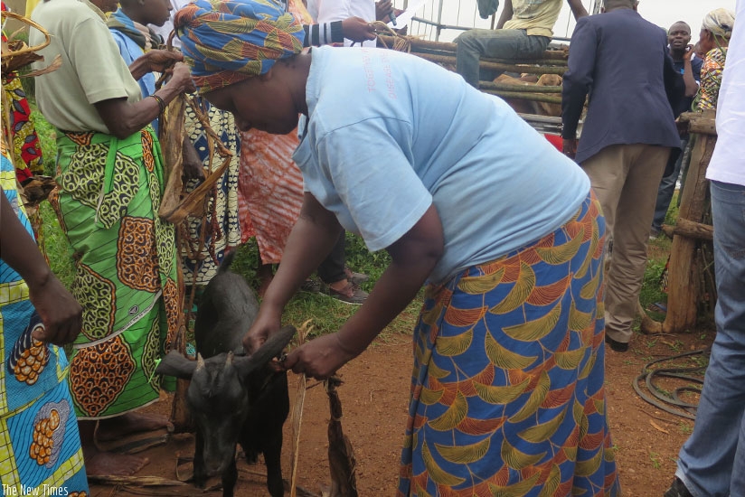 Survivors receive goats from BDF staff on Thursday in Bugesera. (All photos by Michel Nkurunziza)