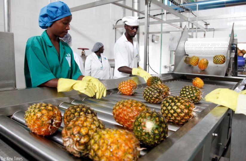 Rwanda is set to start exporting pineapples to Egypt very soon. (File)
