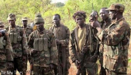 ADF-NALU militia in North Kivu province of eastern Congo. (File)