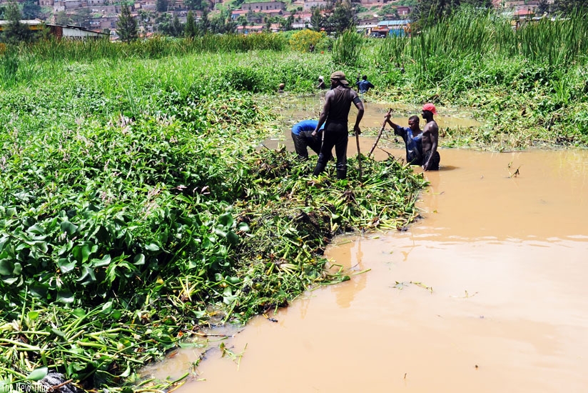The Nyabugogo wetland in Nyarugenge District. Experts want more effort by regional countries in dealing with wetlands. (File)