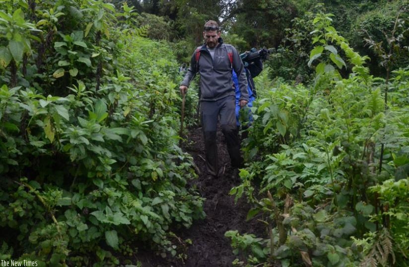 Lopez Victor, a Spanish tourist in his previous tour of Mt Bisoke in Musanze District. (Sam Ngendahimana)