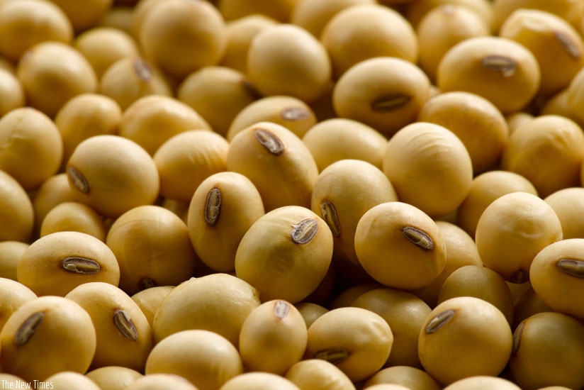 Soybean is very good for bone growth and development 