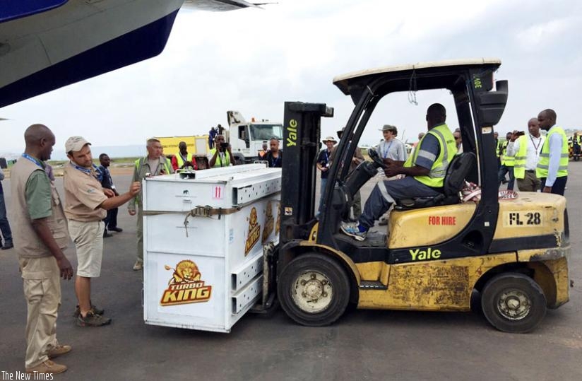 A crate bearing one of the lions being offloaded at Kigali International Airport before they were transported on trucks to Akagera National Park. (Athan Tashobya)