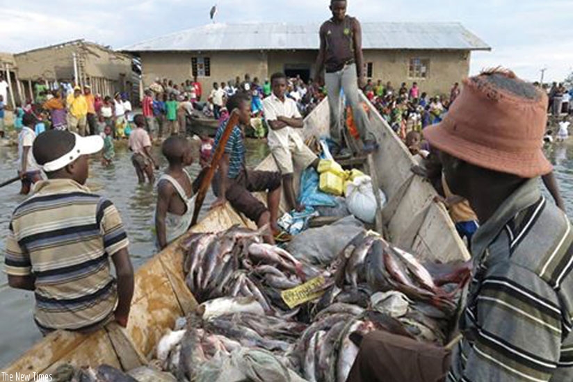 Residents waiting to buy fish at one of the landing sites on Lake Kivu. (Mohammed Mupenda)