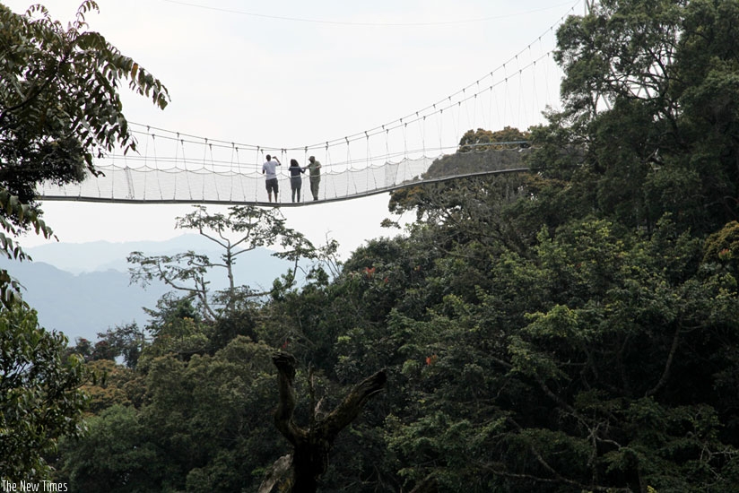 Tourists partake in a canopy walk in Nyungwe National Park. (File)