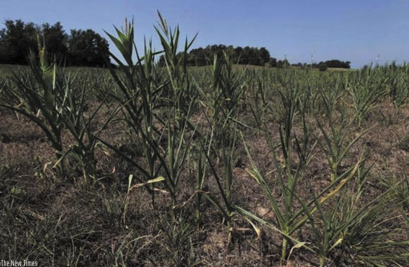 Climate change threatens food security and exposes communities to poverty.