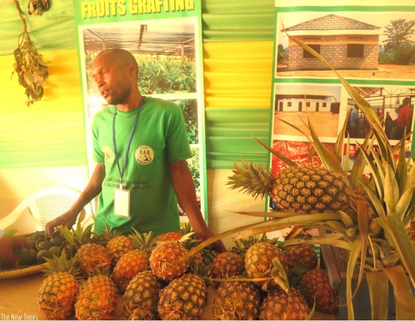 A pineapple farmer showcases his produce at the trade fair. (Stephen Rwembeho)