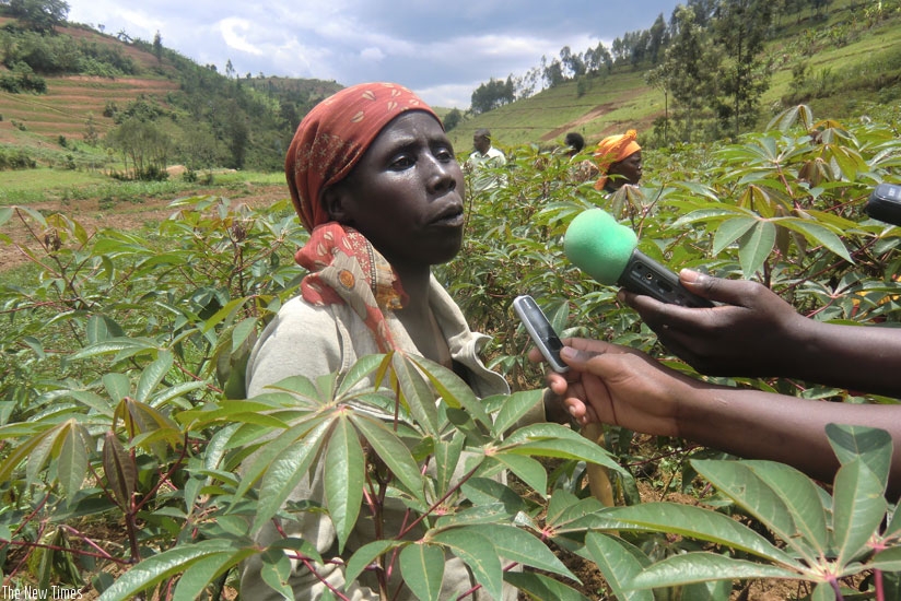 A cassava farmer speaks to journalists in Karongi District during a past interview. (File)