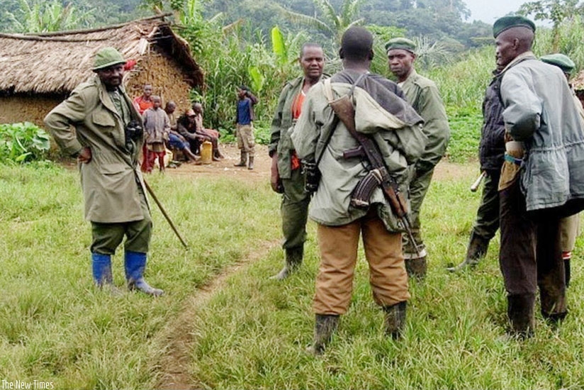 Members of the FDLR militia in eastern DR Congo. (Net photo)