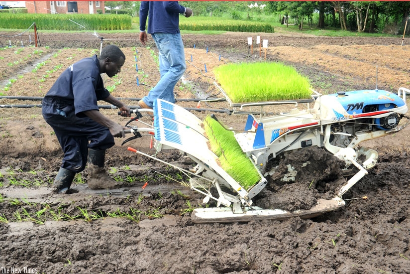 A farmer uses a hand-operated rice planter as a modern way of farming. (File)