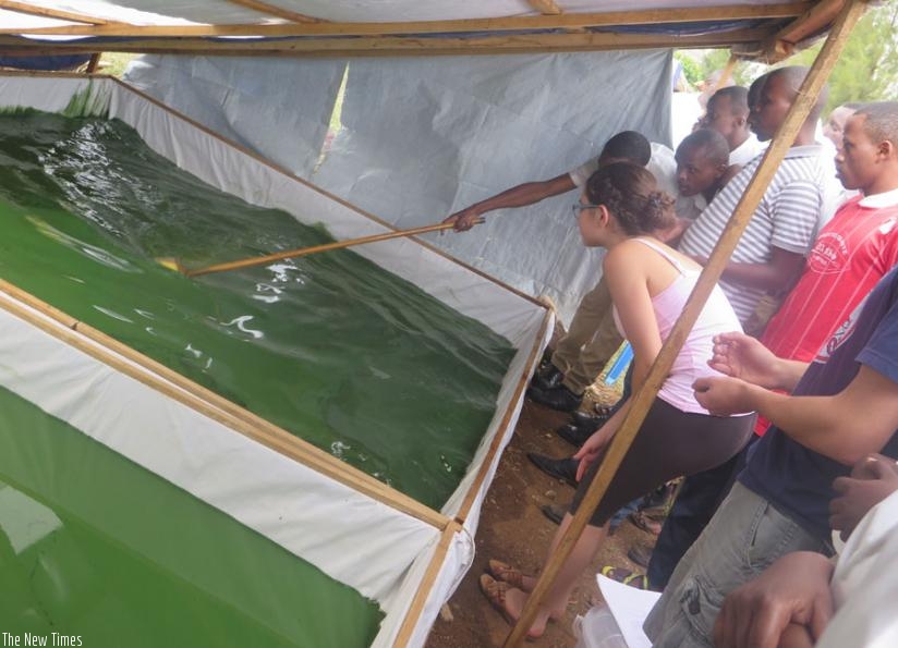 Students are shown how Spirulina is grown. (Michel Nkurunziza)