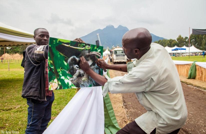 Exhibitors set up stalls in Kinigi ahead of Kwita-Izina ceremony last month. Musanze is host to some of the countryu2019s top tourist attractions but local government lags in service delivery. (File)