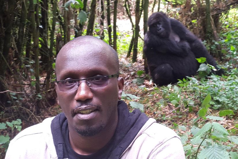 The author of the story is captured on camera posing in front of the famous gorilla. (Internet photo)