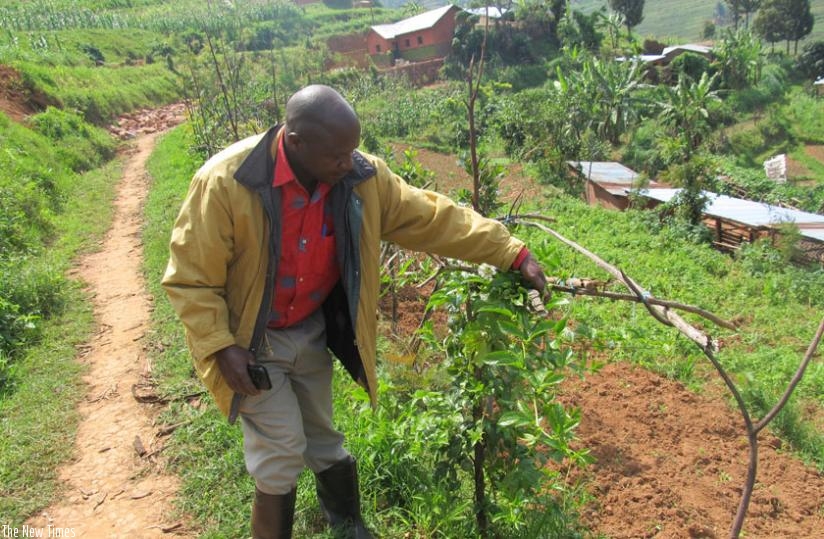 The 49-year- old has also started a passion fruit farming business and looks forward to becoming a successful business man in Gicumbi.