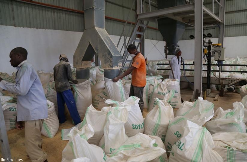 Workers at the Soyco Industries Factory in Kayonza pack soya meal in sacks early this year. (File)