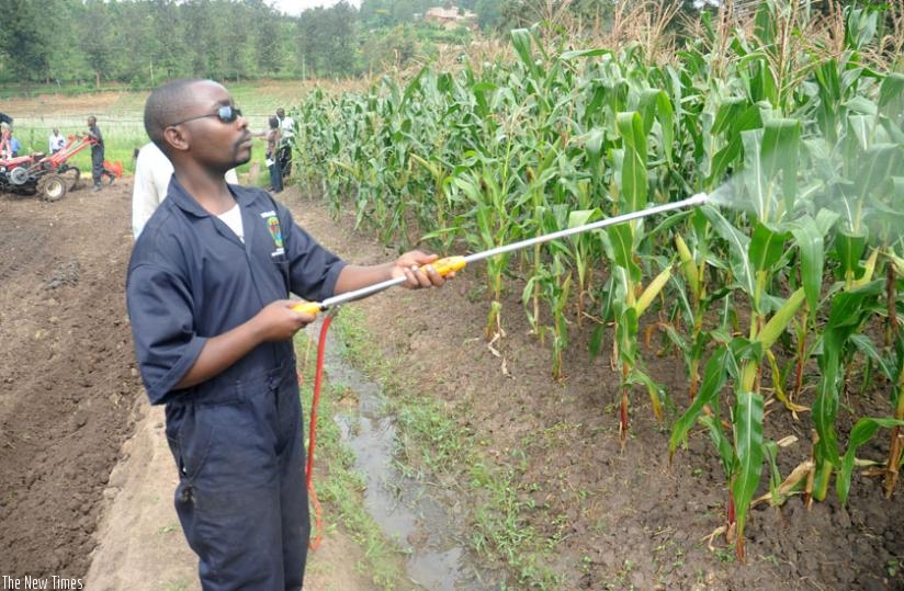 Government is stepping up efforts to boost small-scale irrigation projects. (File)