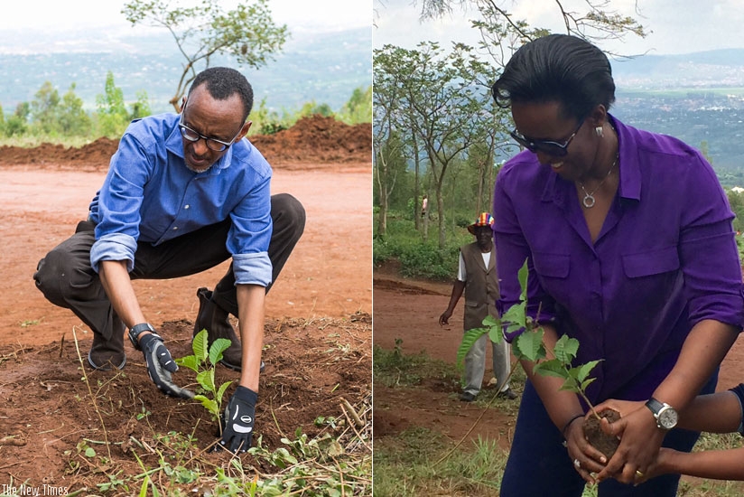 President Kagame (L) and First Lady Jeannette Kagame plant trees during the Umuganda monthly service yesterday. President Kagame told Ndera residents that trees and forests are important and urged Ndera residents to protect all the trees that were planted. (Village Urugwiro)