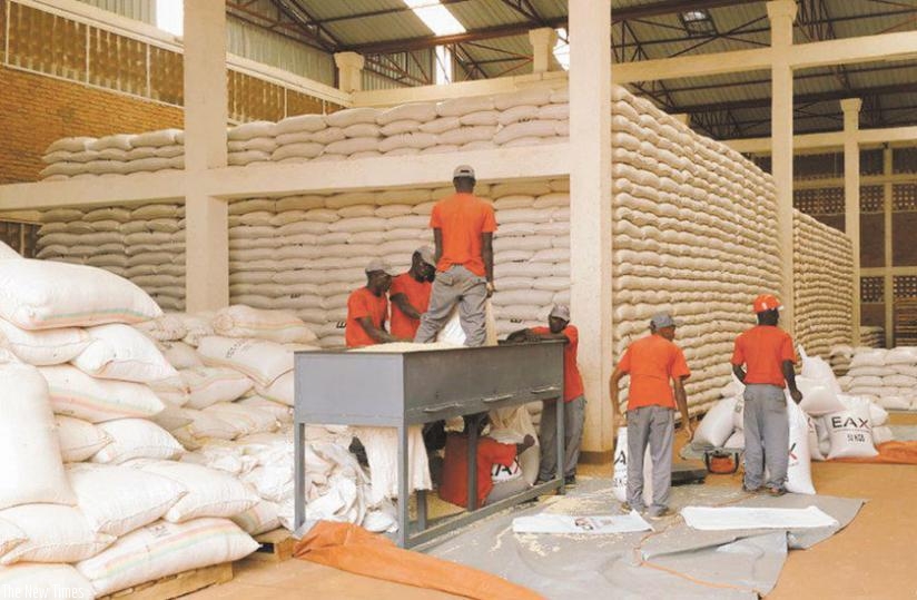 EAX workers sort maize at one of the exchangeu2019s warehouses. (File)