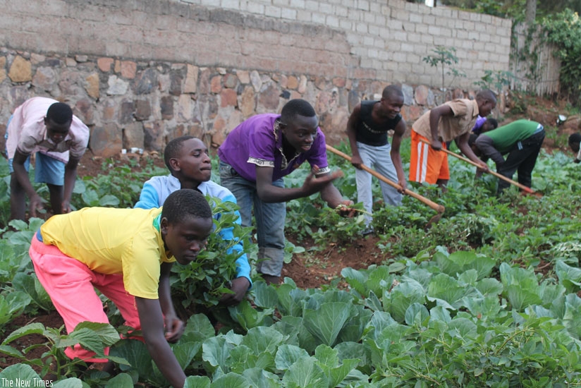 The children take time off to till their backyard garden. (Moses Opobo)