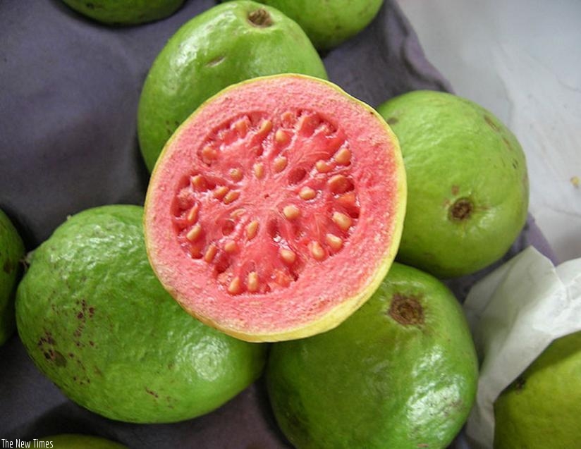 Guava fruit is good for people looking at healthy weight loss options. (Net photo)