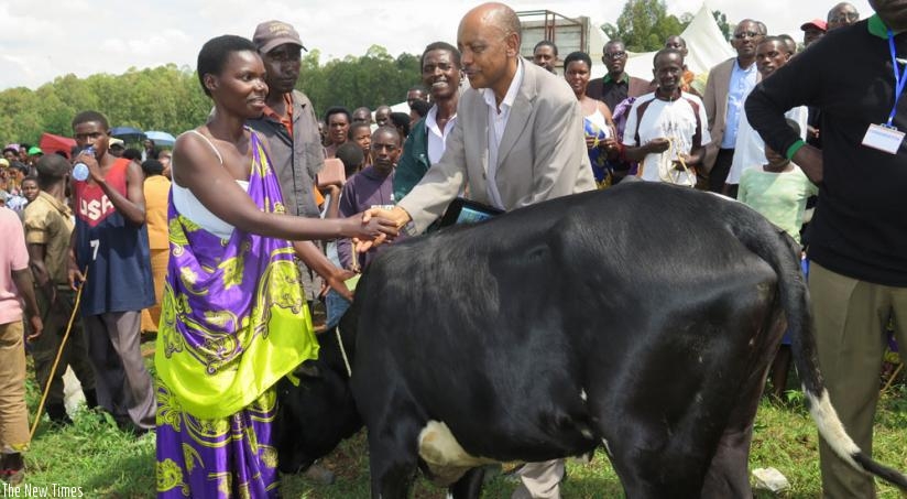 Dr Rutagwenda (R) hands over a cow to one of the beneficiaries of the Girinka programme in Huye District on Thursday. (Emmanuel Ntirenganya)
