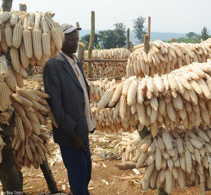 About 30% of Rwanda's produce is lost due to poor post-harvest handling. (File)