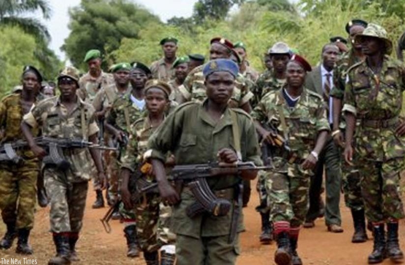 Burundian rebels have formed a group called Republican Forces of Burundi, or 'Forebu' .(Net photo)