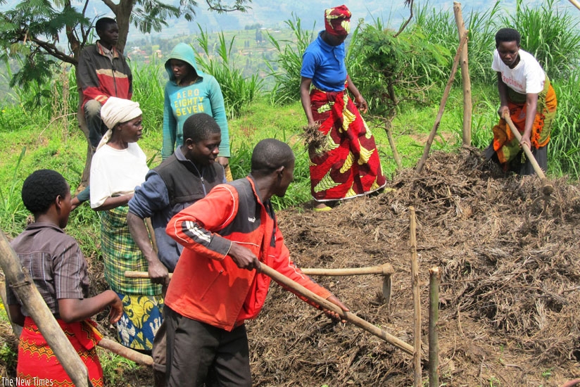 The entrepreneur and other co-op members mix compost manure. The group has invested in making compost manure to generate more income to improve their livelihood. (Peterson Tumwebaze)