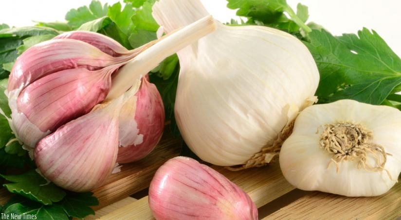 A garlic bulb. Garlic has been proven to have several medicinal benefits. (Net photo)