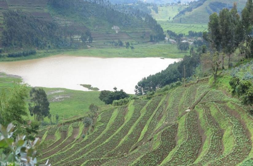 Farmers in Nyabihu say they have used terraces to control soil erosion. (File)