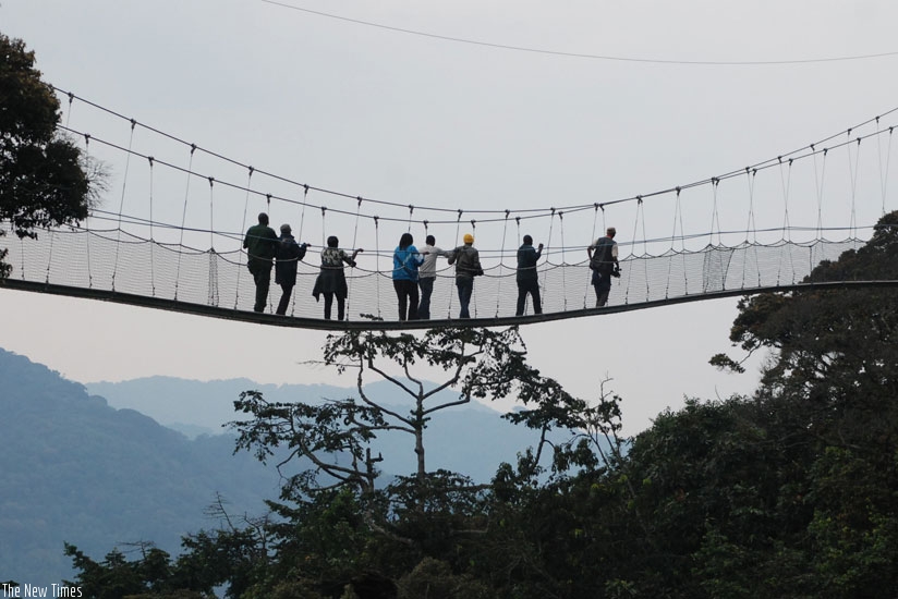 Tourists on a canopy in Nyungwe Forest. One of the tourist attractions that Rwanda will showcase include the canopy and gorilla trekking in Musanze. (Courtesy)