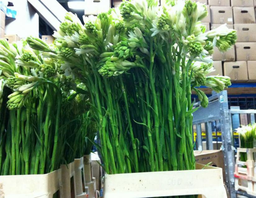 Rwanda looks to rejuvinate the floriculture sector to boost foreign exports. (File)