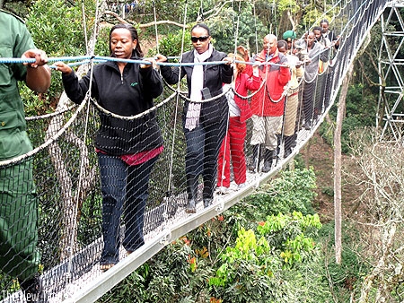 A canopy walkway in Nyungwe National Park is one of the latest additions to the country's tourist attractions.  (File)