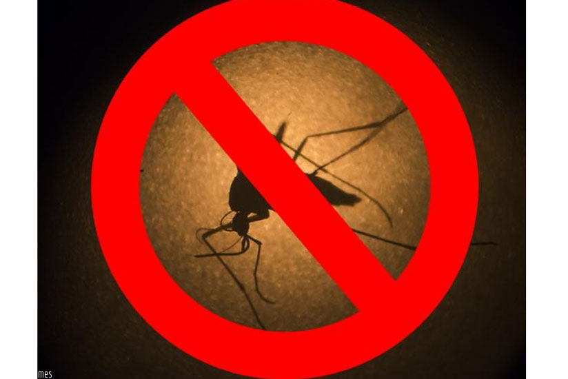 Zika virus poses a global public health emergency (Net Photo)
