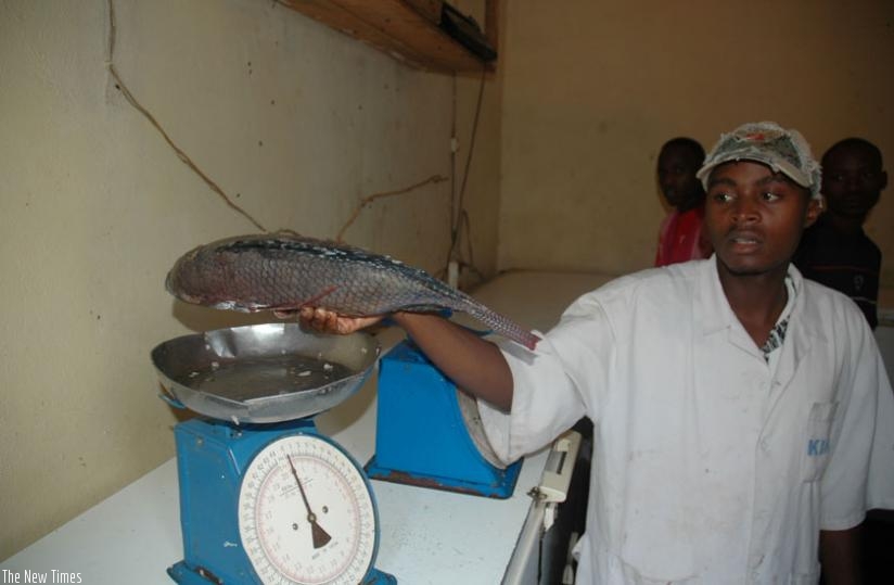 A fish trader weighs fish at Kimironko Market. (File)