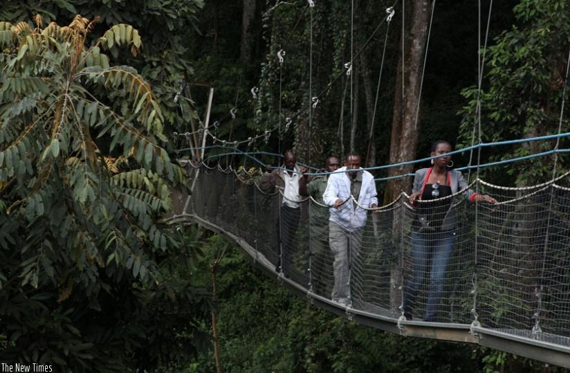 The canopy walk in Nyungwe Forest is one of the upcoming tourist attractions. Tourism in Rwanda will benefit from more skilled personnel. (Courtesy)