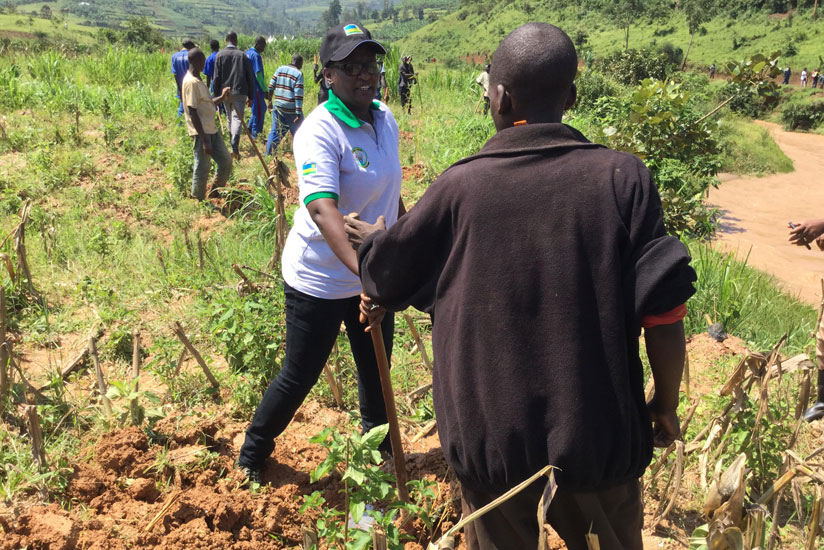 Muhanga residents are joined by national and international dignitaries to plant bamboo along River Miguramo on Tuesday. (Courtesy)