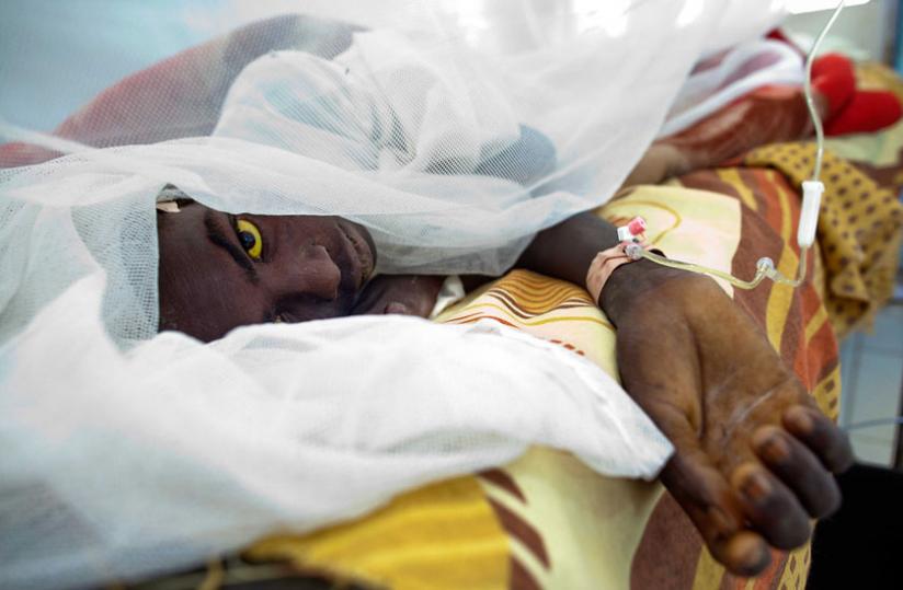 A yellow fever patient receiving treatment. (Net photo)