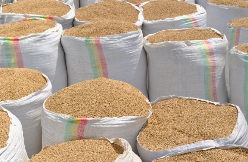 Some of Muyongo rice ready for the market. (P.Tumwebaze)