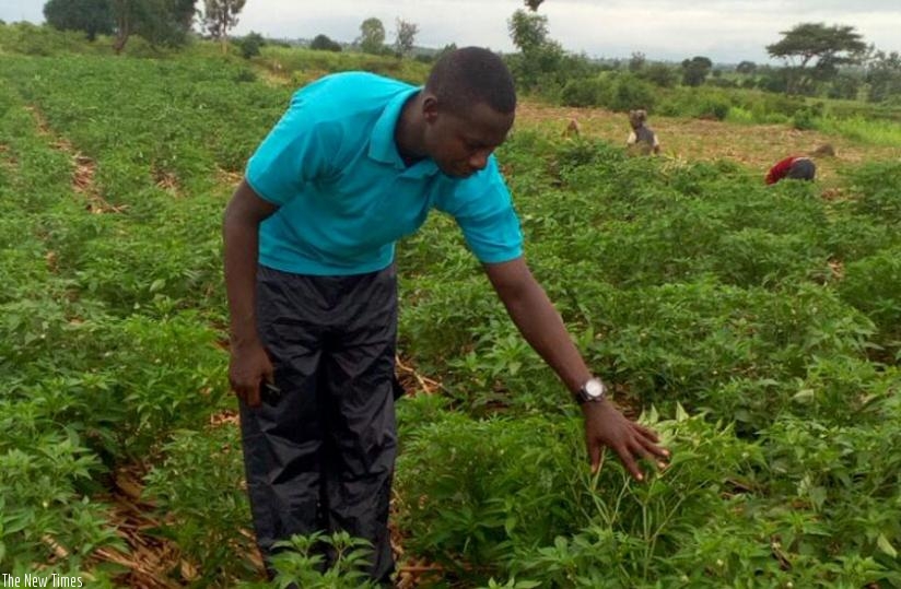 Twahirwa in his garden in Bugesera. (P. Tumwebaze)
